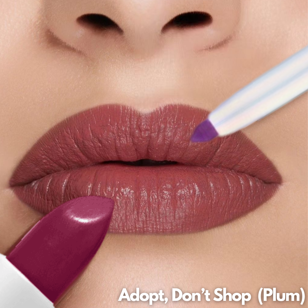 2 BLURstick + Lip Liner Combo @ 699 | Build Your Own Combo!