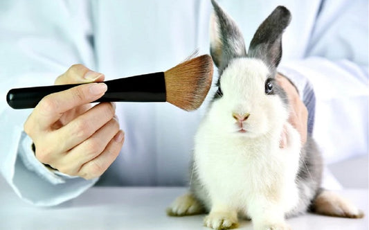 Why should you switch to vegan, cruelty free makeup?