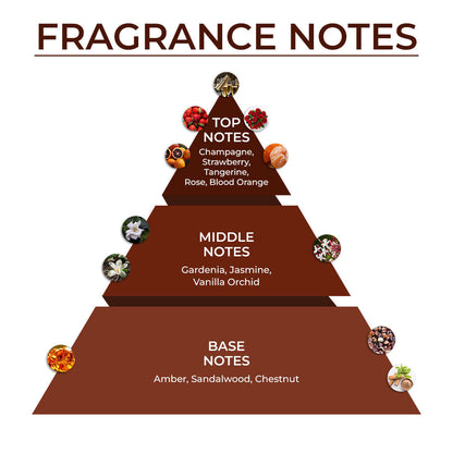 The Morning After… Breakfast in Bed Combo | 3 Dessert-inspired Perfumes + FREE Gift Box 🎀